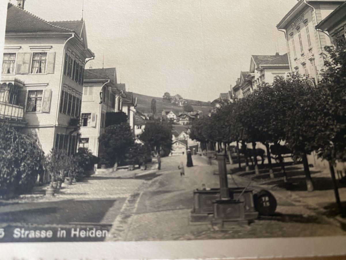 Cartoline postali: Heiden 1913 – Usato da Mosnang venduto da Goldwasser 2