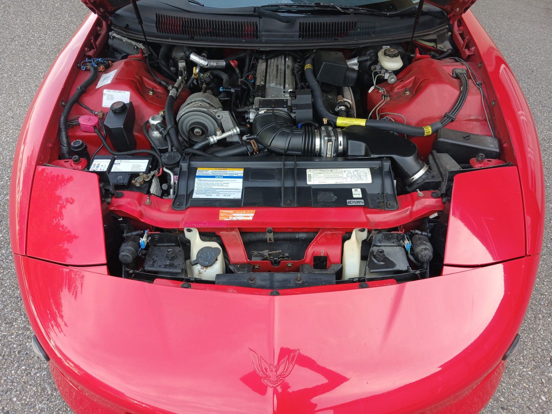 Pontiac Autos: Pontiac Firebird – Gebraucht aus Zell von lustenberger88 3