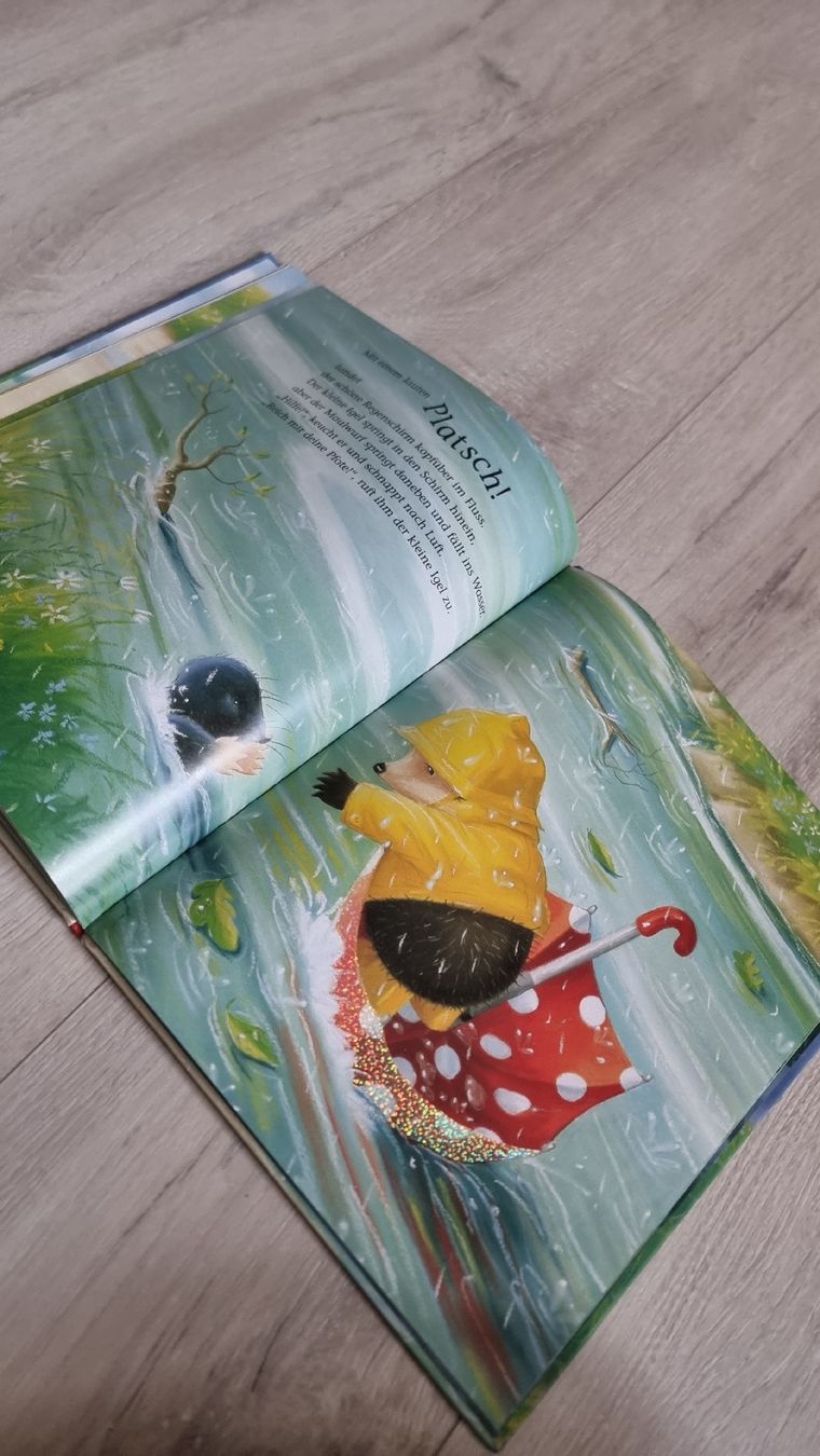 Bücher: Kinderbuch: Der kleine Igel rettet seine Freunde. – Gebraucht aus Wigoltingen von Zuckerfee84 6