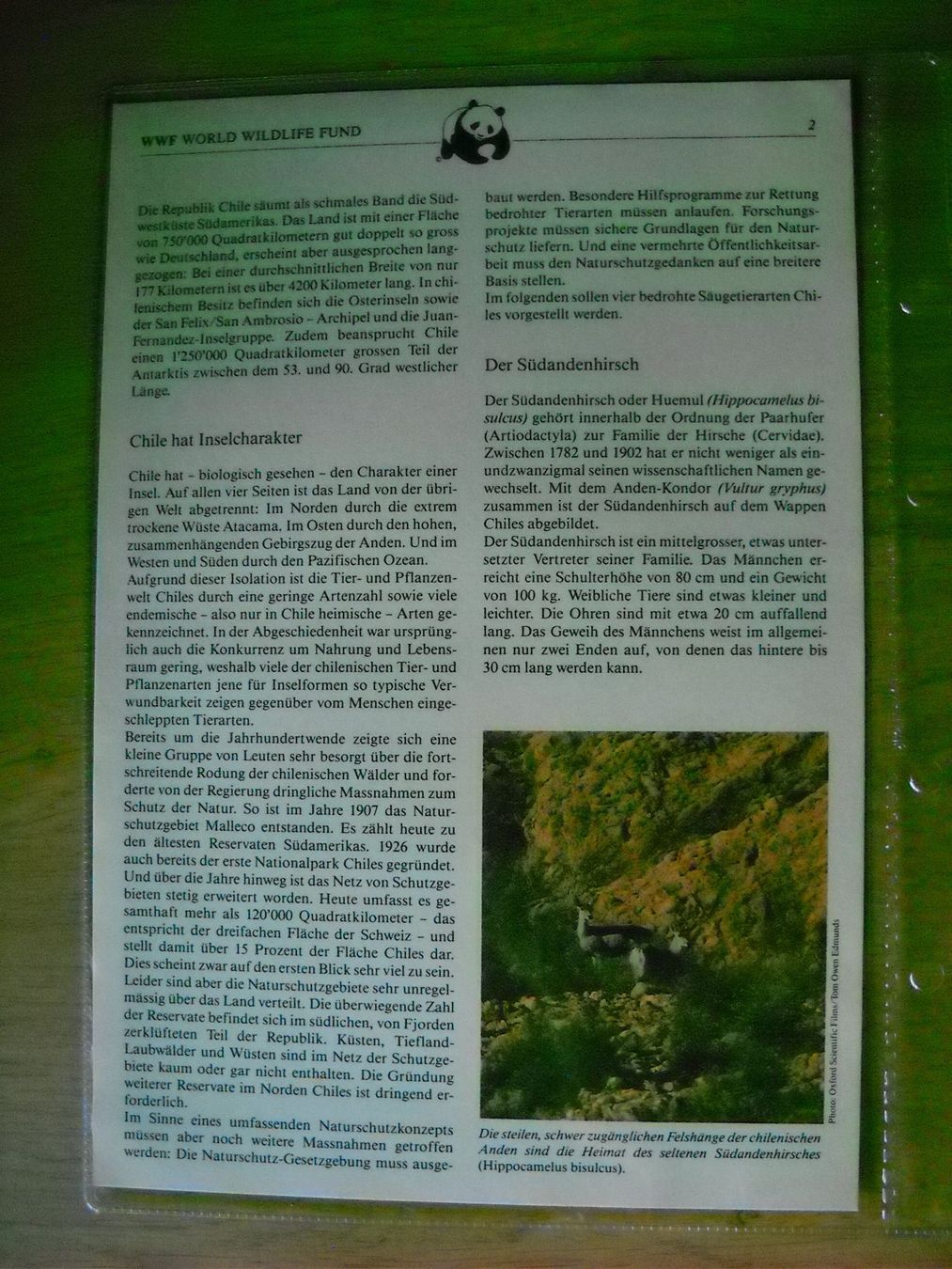 Tutti i francobolli: WWF Bedrohte Tierarten Chiles Dokument mit Briefmarken – Nuovo (secondo la descrizione) da Boningen venduto da FrediP 1