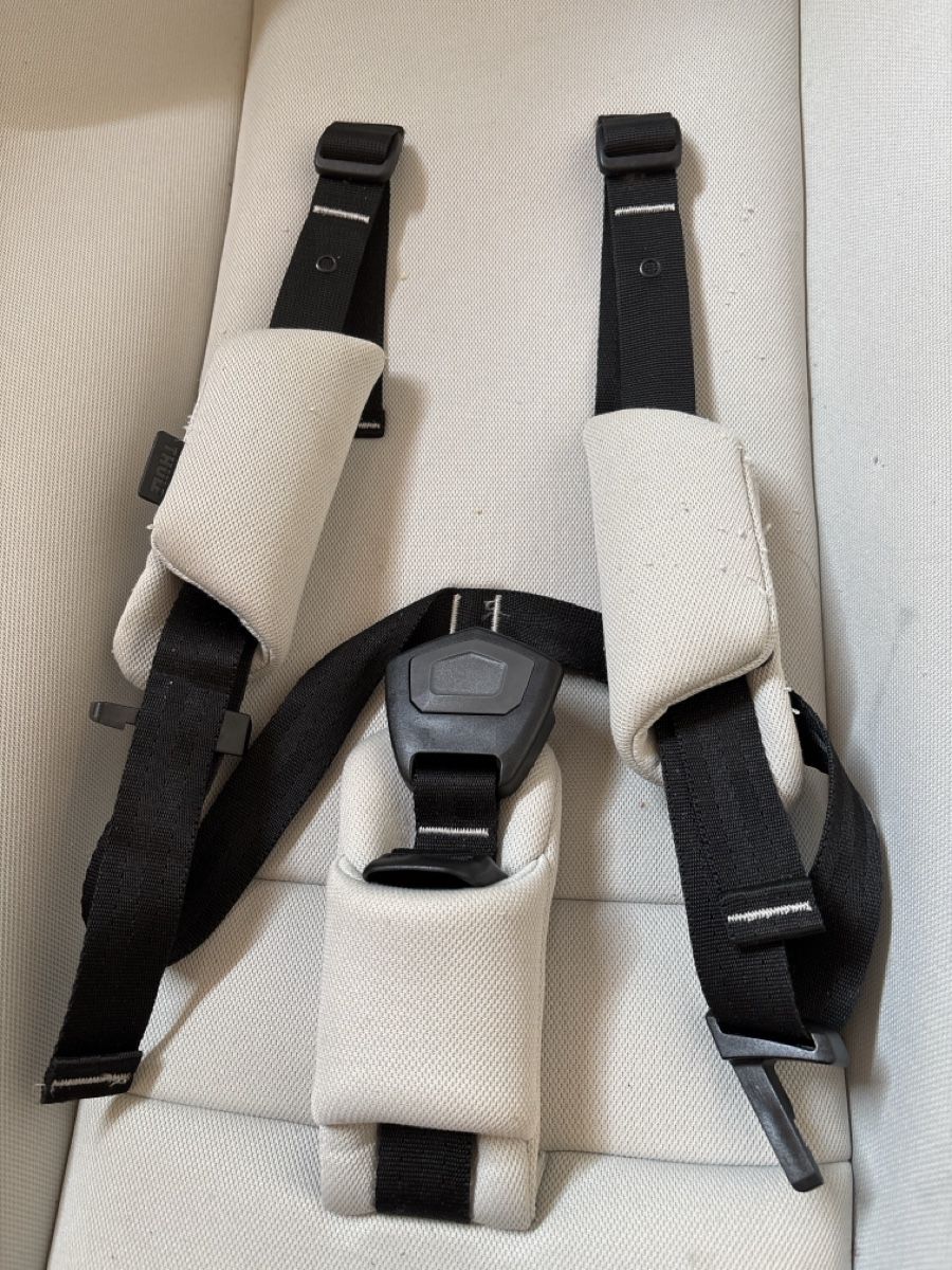 Amache: THULE Babysitz – Usato da Flims Dorf venduto da fon_8p6n 1