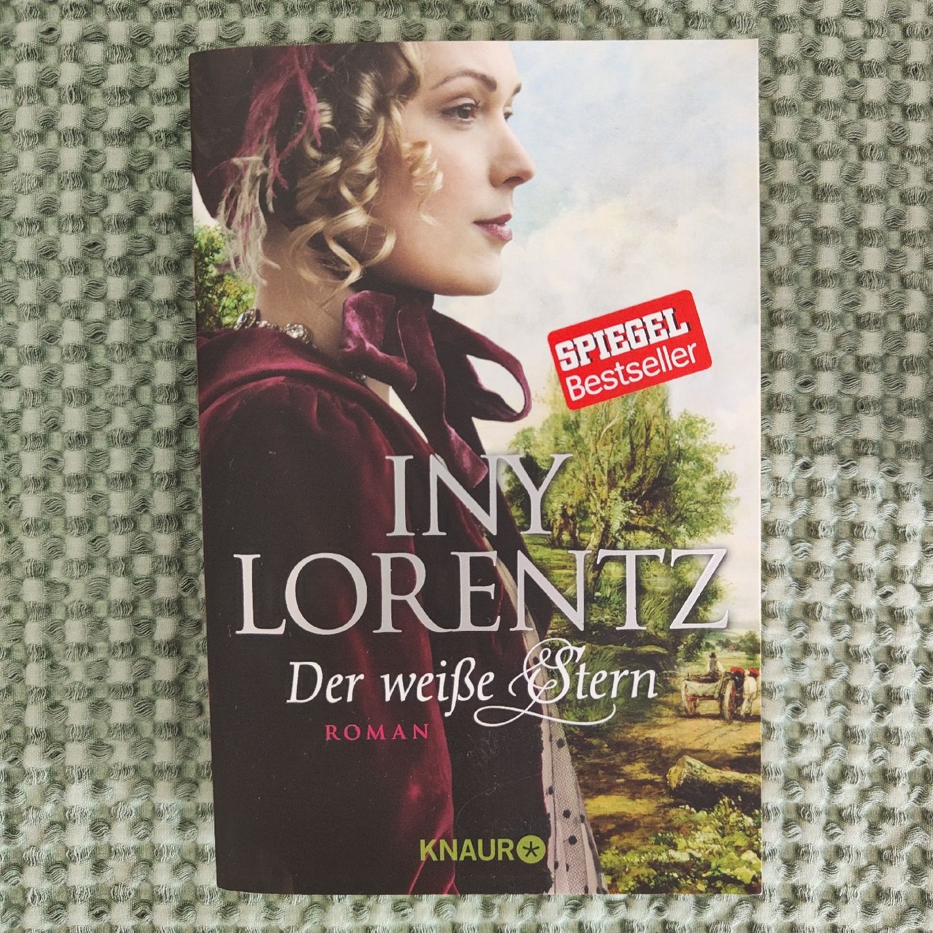 Libri: 4er Auswanderer Buchreihe von Iny Lorentz  – Usato da Aesch ZH venduto da TaniTomy 3