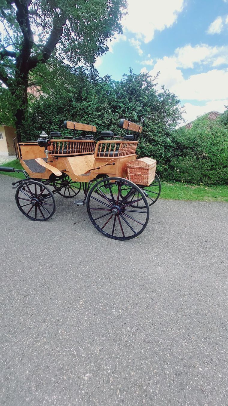 Calèches: Jagdwagen – D'occasion à Langenthal par arila66 1