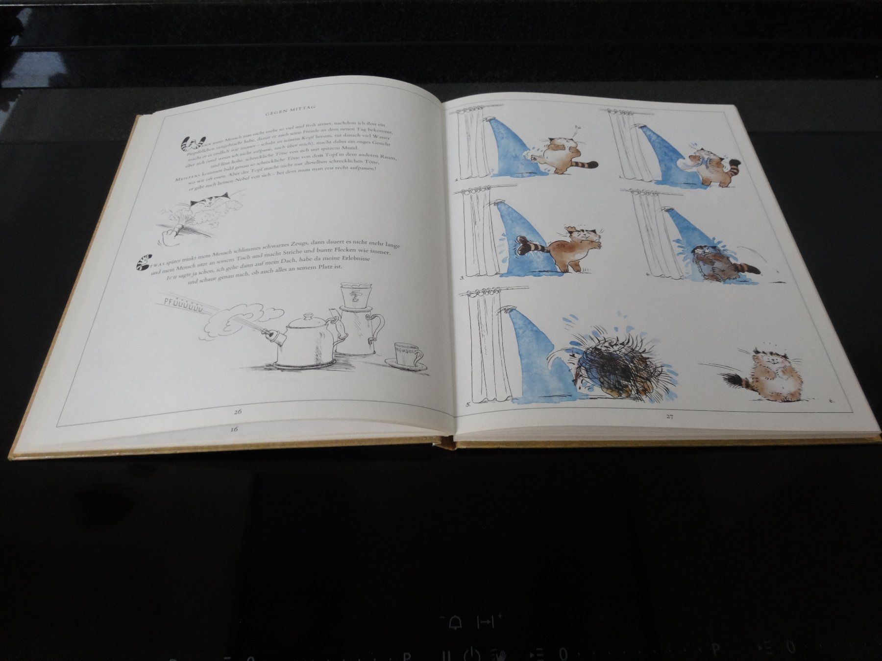 Libri: Jakob Extra Katzengeschichten Benteli Bern – Usato da Neerach venduto da jenny062 4