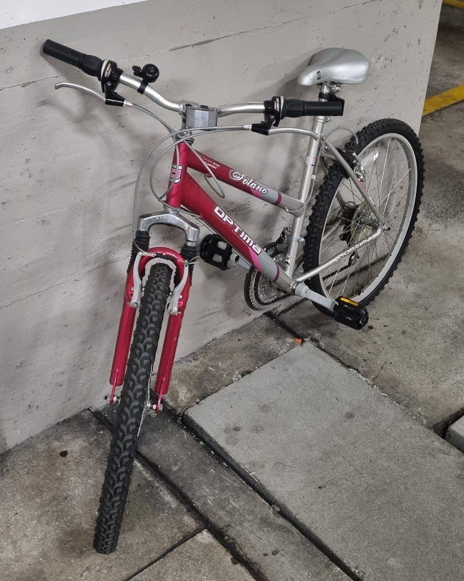 Velos: Kinderfahrrad 19 Zoll – Gebraucht aus Zürich von Miguelloco 1