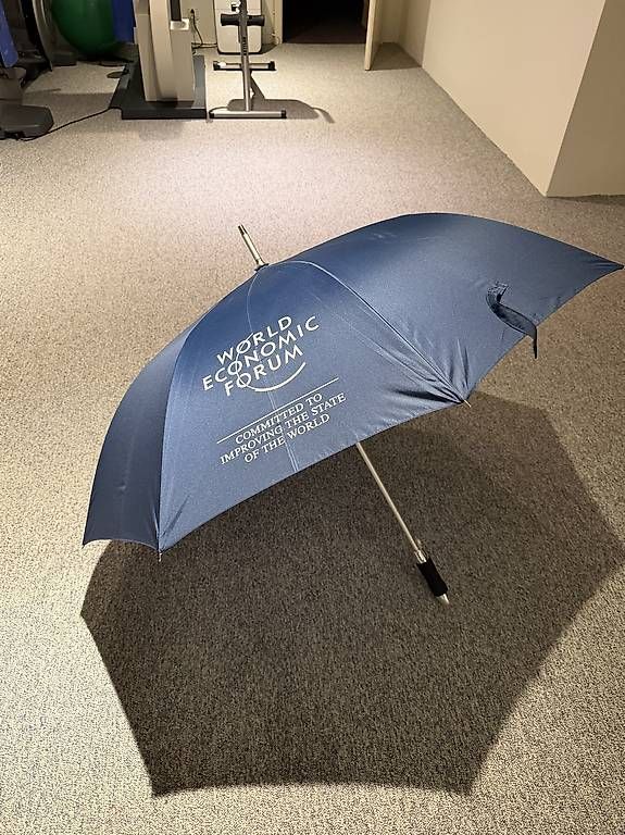 Ombrelli: Parapluie bleu foncé WEF – Usato da Genève venduto da flocon06 1
