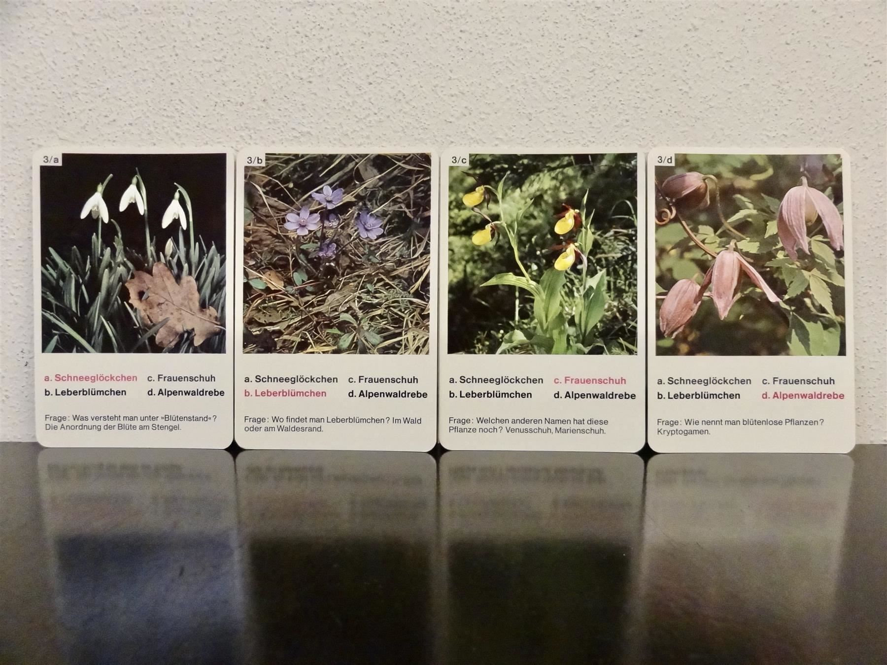 Giochi: altes Quartett BLUMEN-QUARTETT BLUMEN – Usato da Kerzers venduto da wisaundso 5