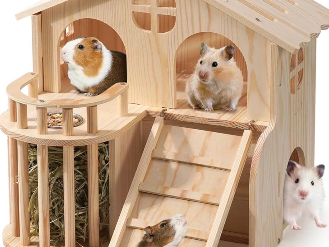 Articoli in legno: Hamsterhaus Holz, Orginalverpackt – Nuovo e nell'imballaggio originale da Dielsdorf venduto da Gold_Junge