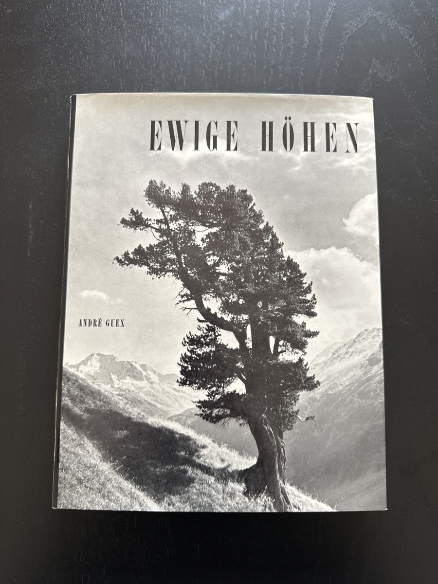 Libri: Ewige Höhen – Usato da Erstfeld venduto da Mario_boe0
