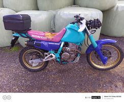 Honda XL Dominator 
