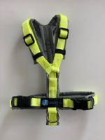 Geschirr Anny X - Grau/Limone - XXS