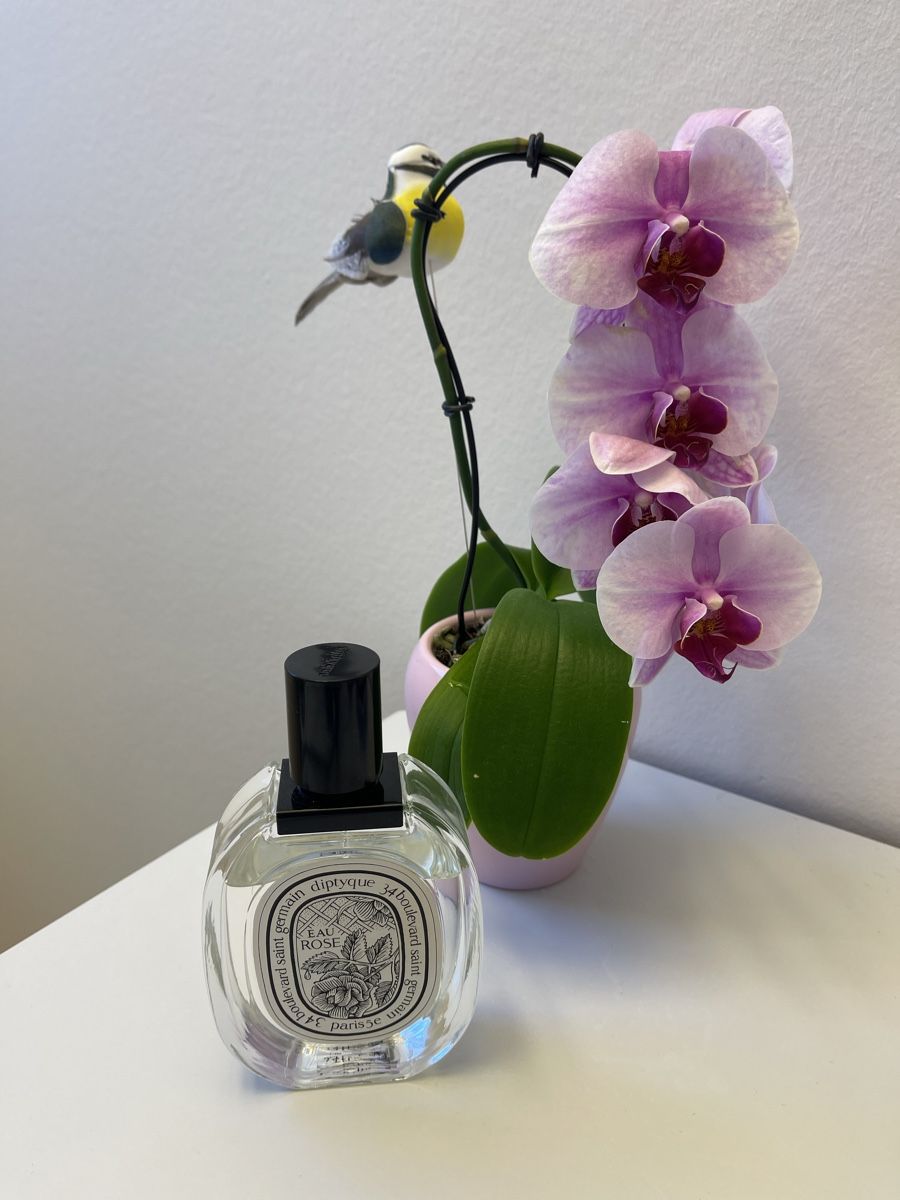 Diptyque Parfum & Eau de Toilette: Diptyque Eau Rose 100ml – Gebraucht aus Maur von Ilim88