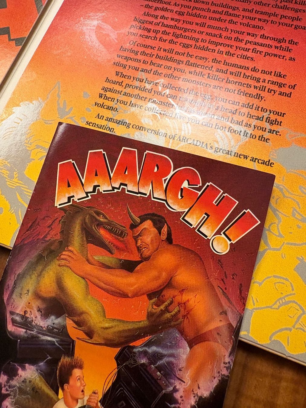 Giochi: Amiga Spiel: Aaargh! (Flat Box) – Usato da Niederhasli venduto da Manuf0 5