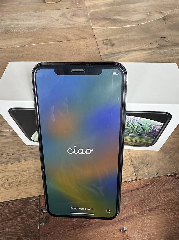 Apple Telefoni cellulari / Smartphones: IPhone XS 256GB Space Gray – Usato da Kleinandelfingen venduto da sou_v6vt
