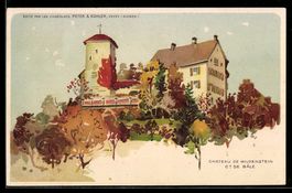 Künstler-AK Argovie, Château de Wildenstein
