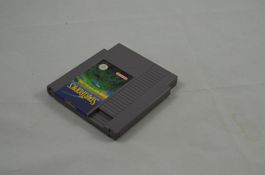 Star Tropics NES Spiel