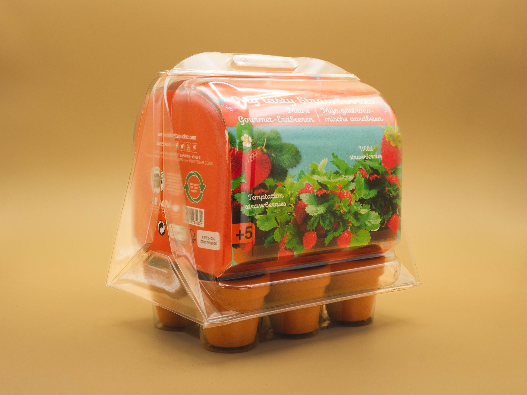 Piante & sementi: Mini Serre - Fraises – Nuovo e nell'imballaggio originale da Prilly venduto da Adrianacometti 2