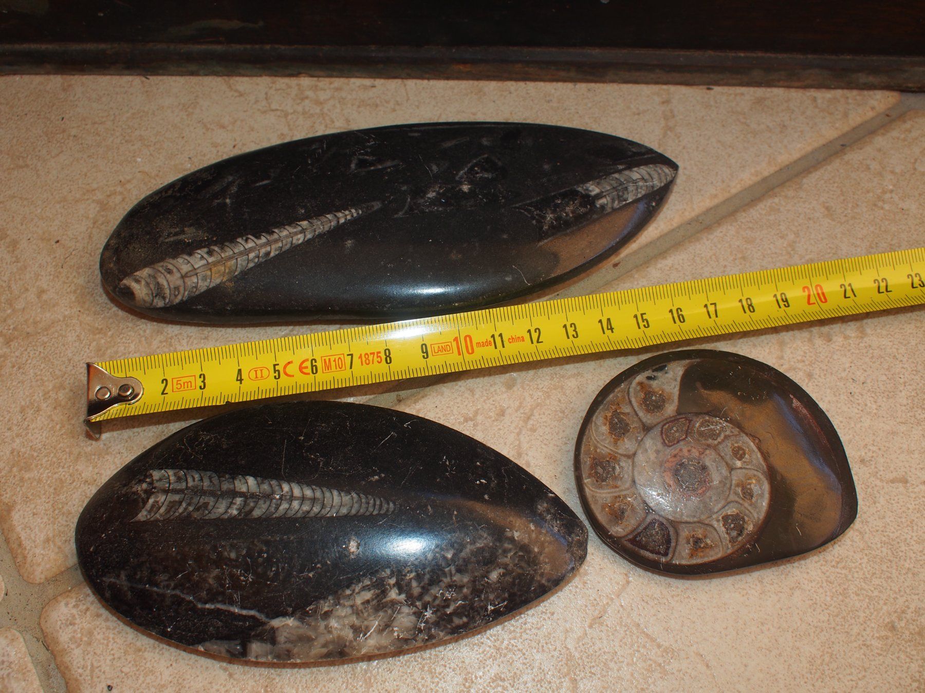 Fossili: 10. lot de 3 grands fossiles polis – Usato da Ovronnaz venduto da Etagne68 3