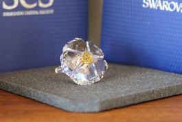 SWAROVSKI 2017 SCS JOINING/RENEWAL GIFT WILDE BLUME