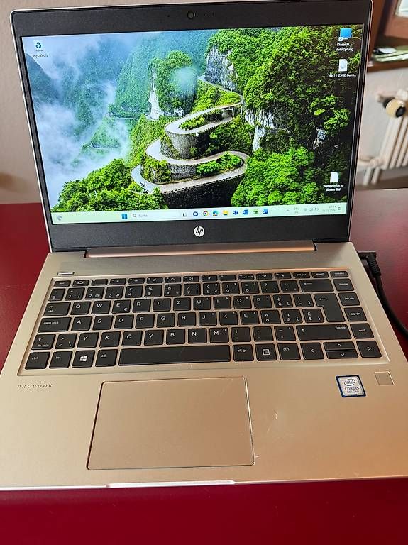 Notebook: HP ProBook 440 G6 – Usato da Burgdorf venduto da dkr_d2fl