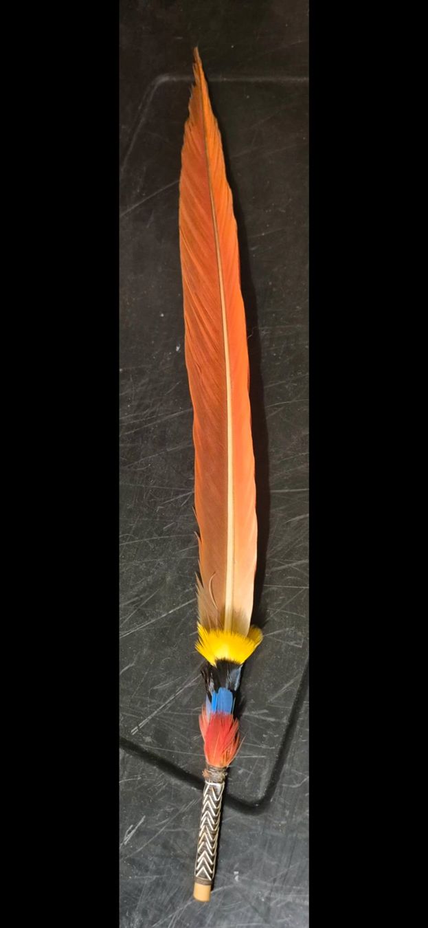 Il mondo degli animali: Plume d'ara décorative d'amazonie – Usato da Biel/Bienne venduto da guyw 2