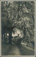 SZ Feusisberg