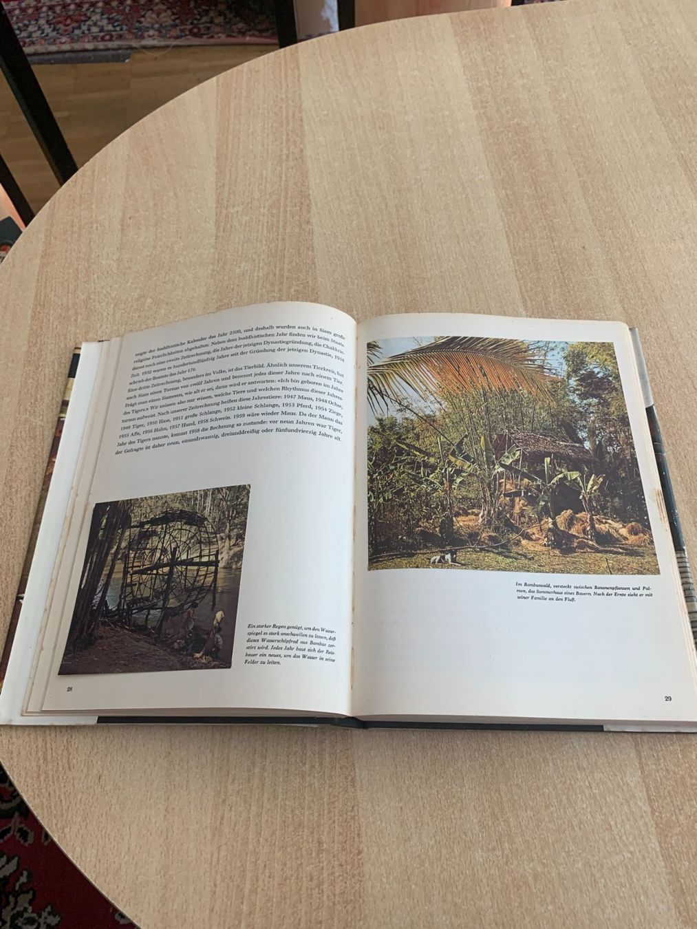 Libri: Buch Siam Silva-Verlag 1959 – Usato da Reinach BL venduto da jessihome 2