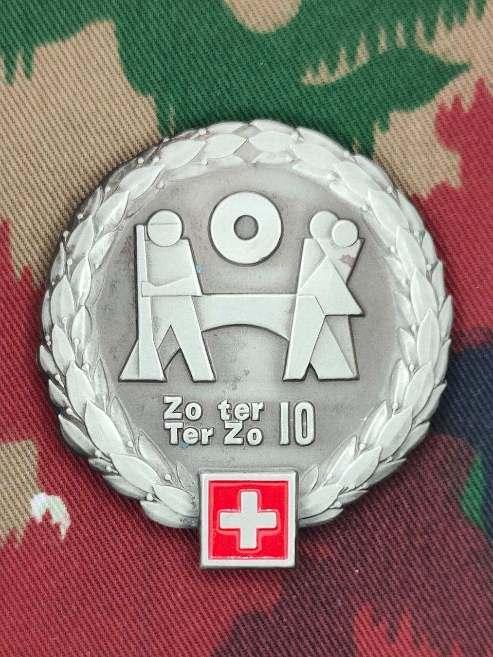 Schweizer Armee Placchette & Badge:  Béretemblem Territorialzone 10, Variante 2 – Usato da Bauma venduto da SwissMilitaria