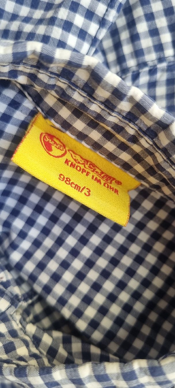 Steiff Camicie, T-shirt & Polo: STEIFF Hemd blau/weiss kariert Gr. 98/104 – Usato da Champlan venduto da acr_kkd5 3