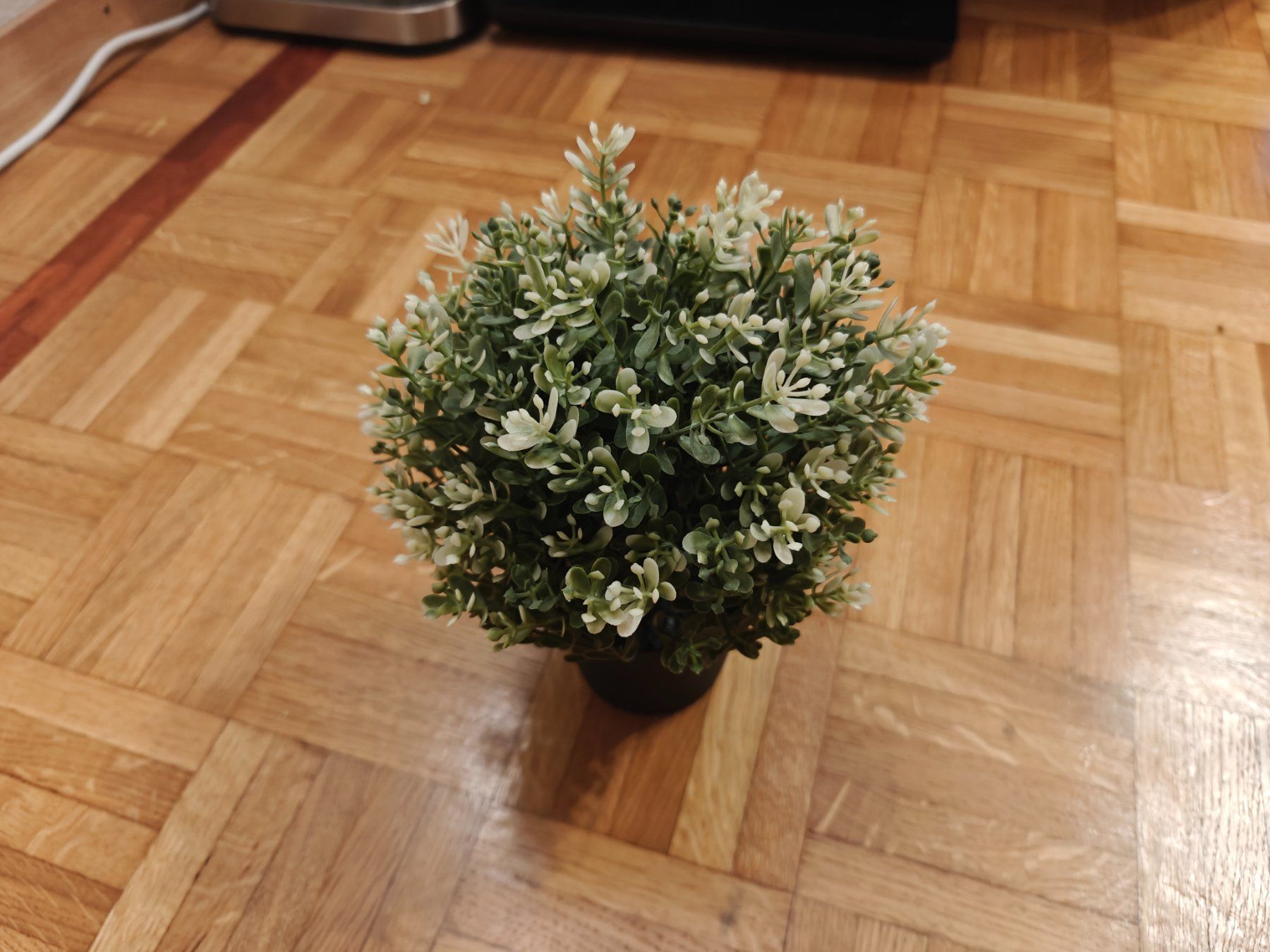 Pflanzen & Samen: Plante artificielle Ikea Fejka – Gebraucht aus Lausanne von Protectator 1