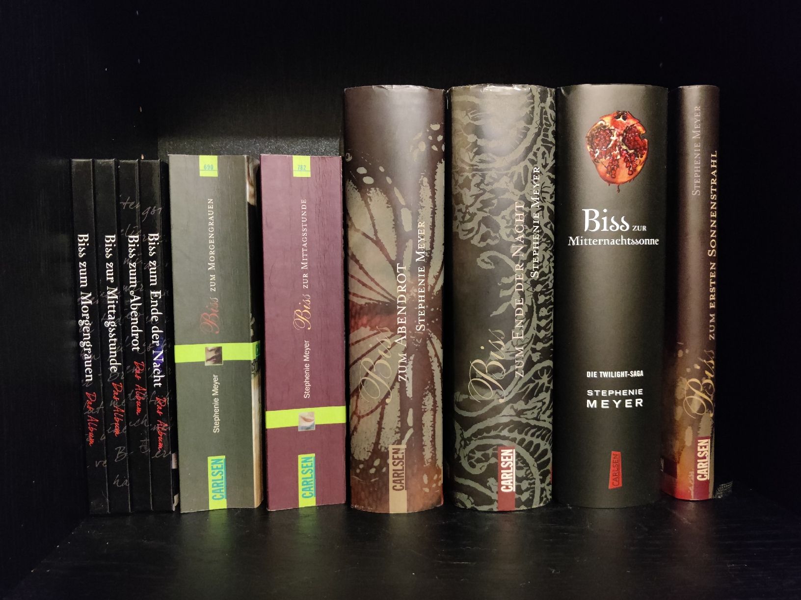 Libri: Stephenie Meyer Biss-Romane inkl. 4 Notitzbücher – Usato da Domat/Ems venduto da Shiekah2102