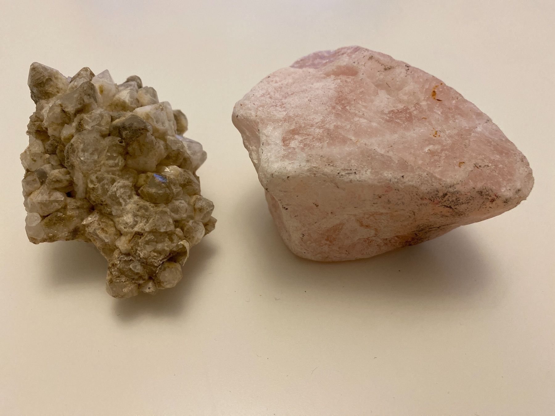 Fossilien: 2 Steine – Gebraucht aus Buchrain von Sisi83 1