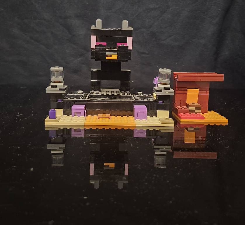 Lego Kit di costruzioni: Ende Lego Minecraft – Usato da baden venduto da mxi_sg9y