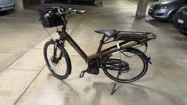 Riese & Müller Culture E-Bike