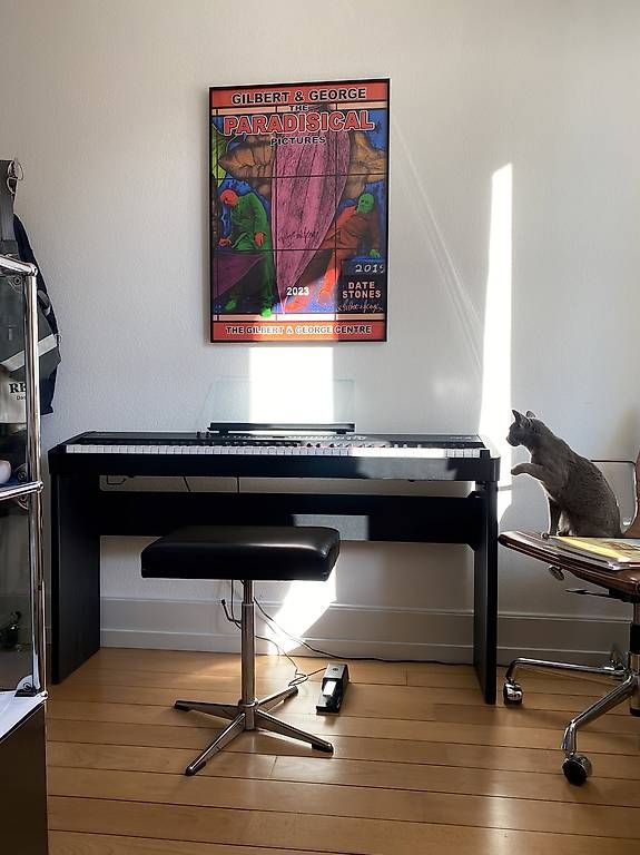 Roland Musikinstrumente: Roland Piano Klavier FP-4 – Gebraucht aus Zürich von TK-Stardust