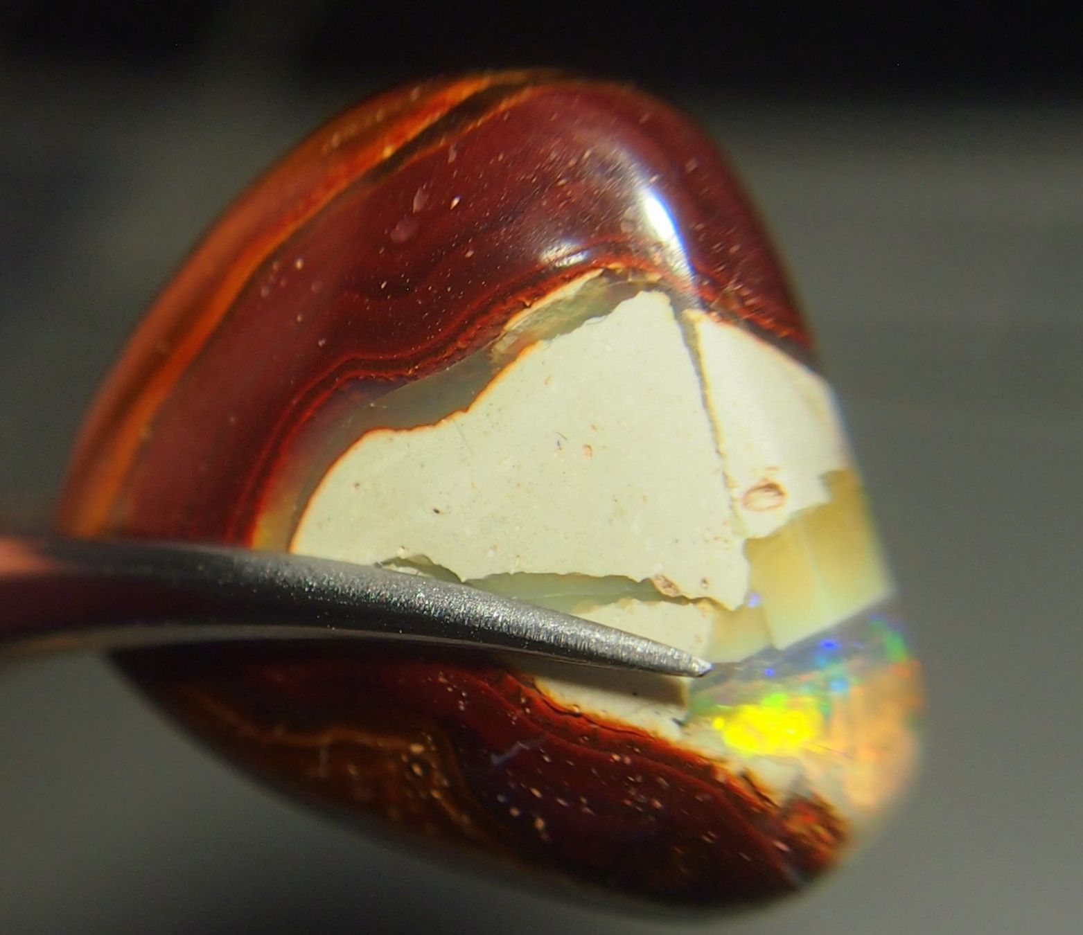 Pietre preziose: 34,6 ct. Koroitopal mit Opalfunken AAA! – Nuovo e nell'imballaggio originale da Reinach BL venduto da blumarco 7