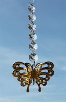 KRONLICHT * Lichtspiel * SCHMETTERLING