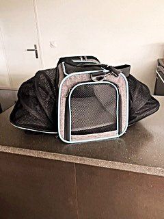 Niches, paniers: Katzentransportbox – Neuf (Voir description) à Wohlen AG par Prinzess1 2