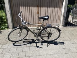 Trekkingrad Wheeler 5700 Herren Velo