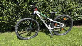 Kinder-Velo Wheeler Grösse 13" guter Zustand