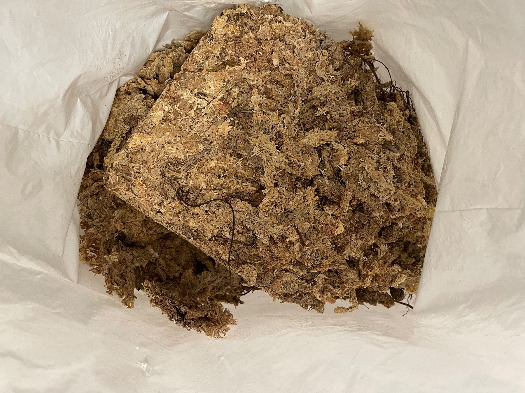 Plantes & graines: Sack mit getrocknetem Sphagnum Moos – D'occasion à Russikon par dan_92yd