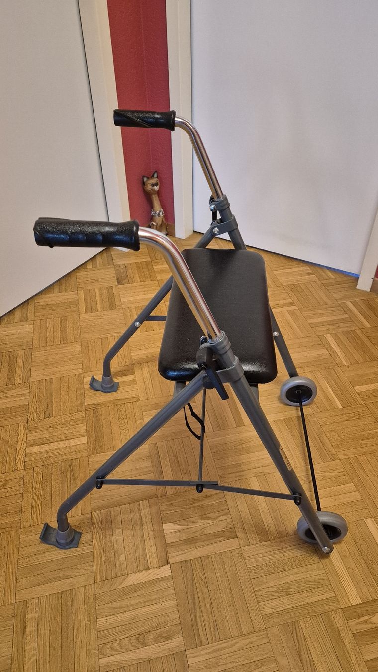Ausili per la deambulazione: Déambulateur 2 roues pliable, siège, excellent état – Usato da bernex venduto da evagabor 1