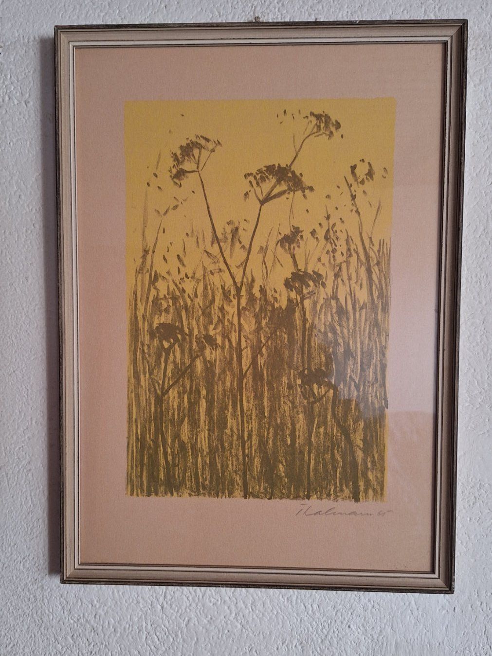 Grafica & Litografie: 6 Bilder von signiert "Peter Thalmann " – Usato da Dornach venduto da majo8689 1