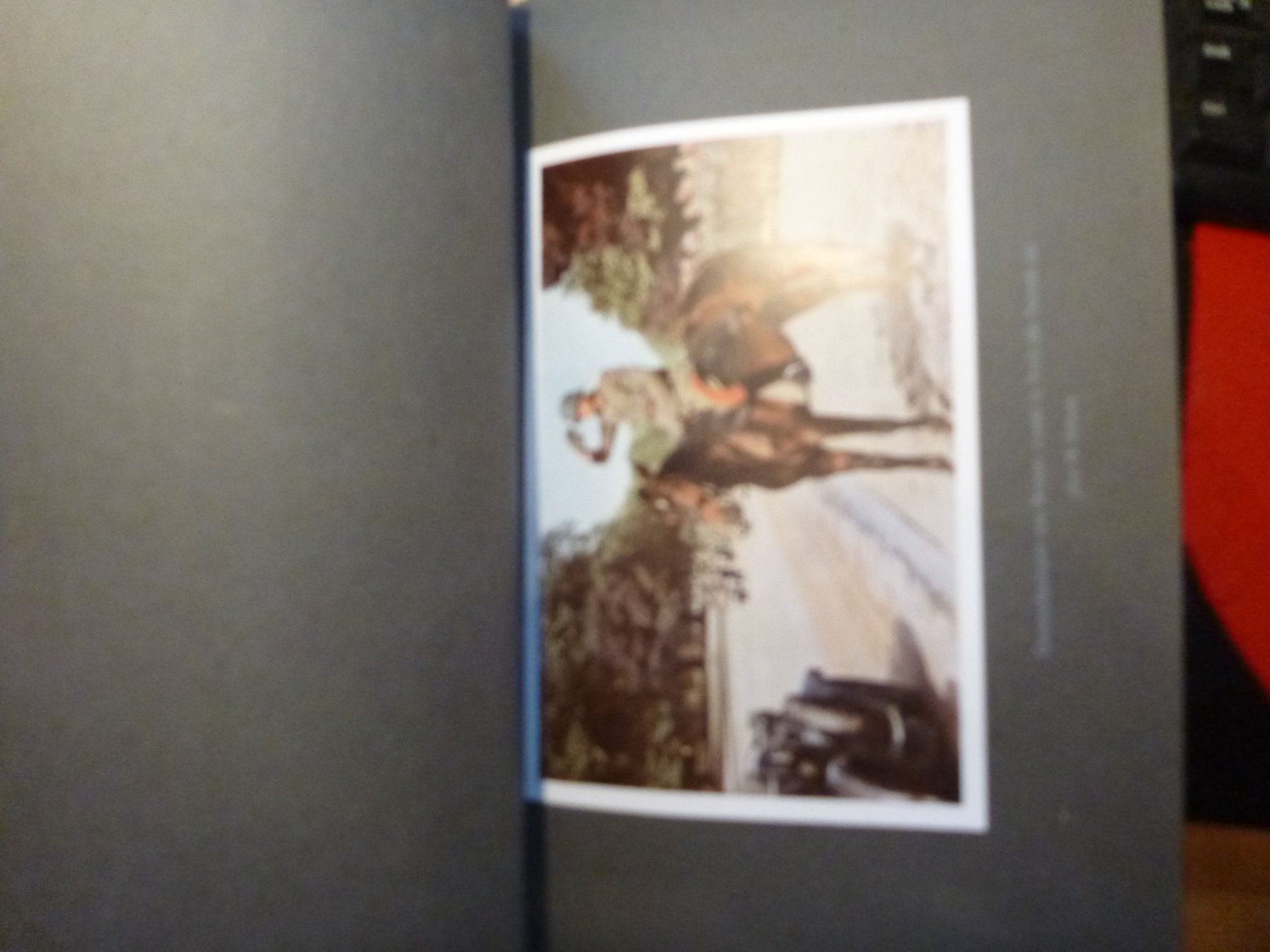 Libri: 2. Weltkrieg – Usato da Eschen venduto da Nerger1918 6