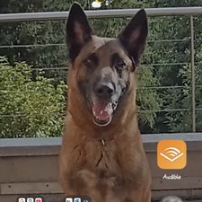 Profile image of Andu_ril