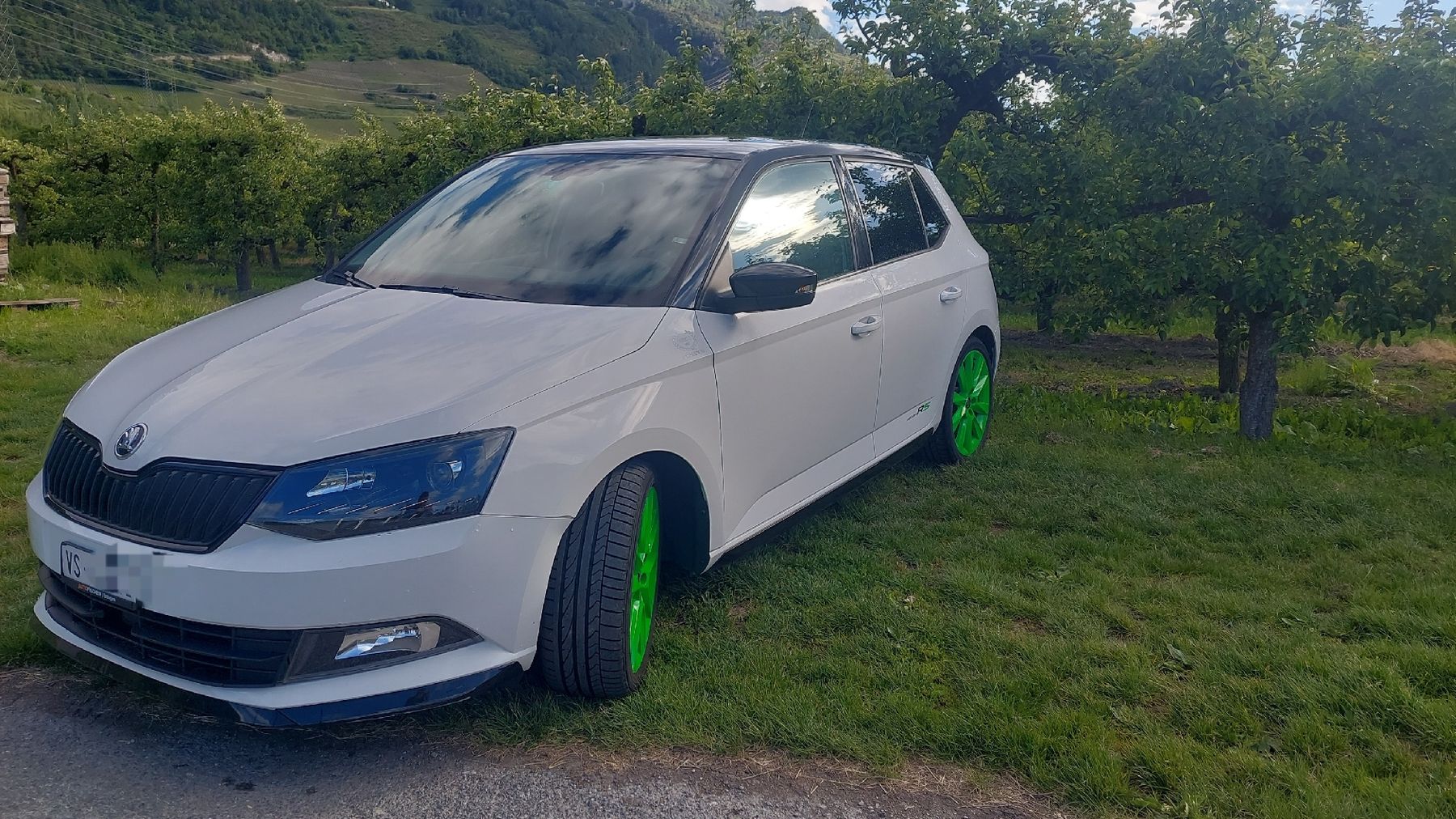Skoda Automobili: Skoda Fabia édition R5 – Usato da Sion venduto da Rouissou 2