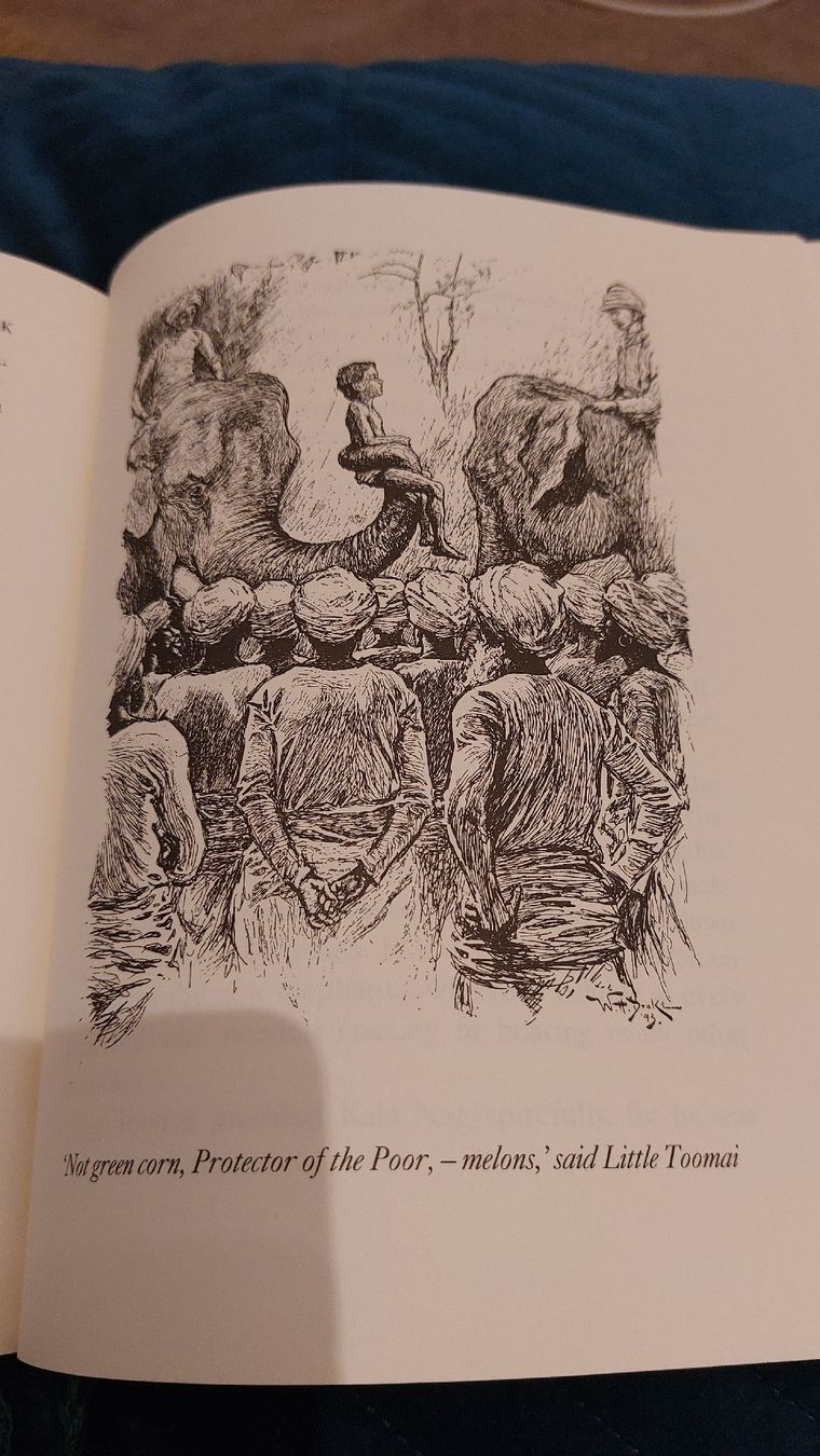 Libri: Kinderbuch-Klassiker: Das Dschungelbuch von Kipling! – Usato da Niedergösgen venduto da Bertiana 5