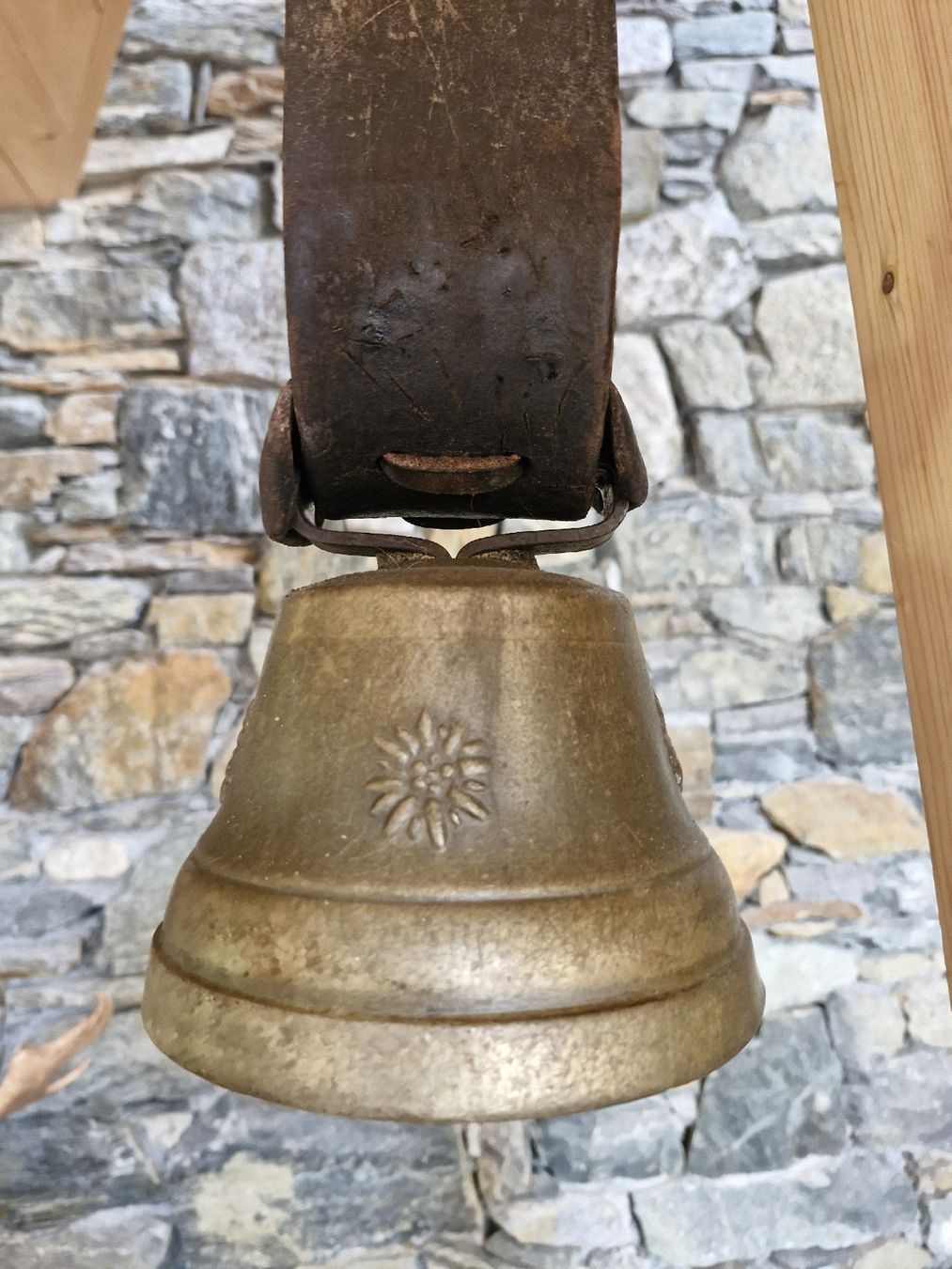 Campanacci mucche: Glocke Treichel  – Usato da Guarda venduto da rue_bpd7 2