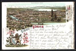 Litho Zürich, Gesamtansicht, Löwe mit 