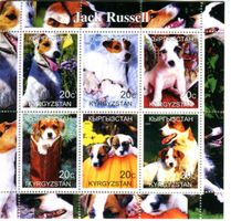 Block "Jack Russell Terrier". Kirgisistan